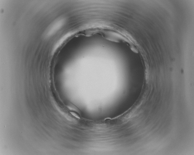 X0000071380438200607212216