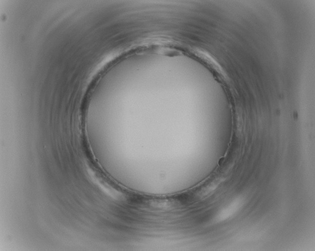 X0000071380439200607212216