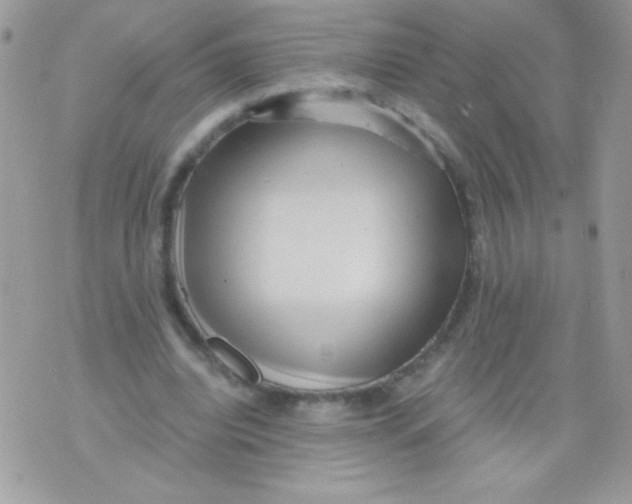 X0000071380440200607212216