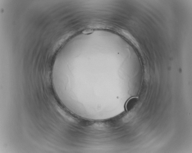 X0000071380441200607212216