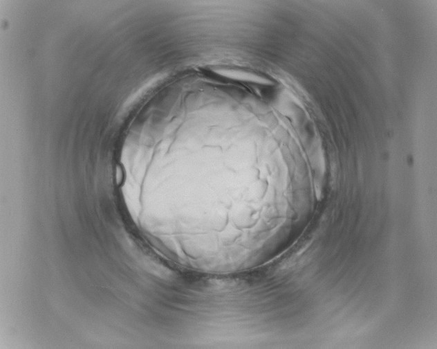 X0000071380442200607212216