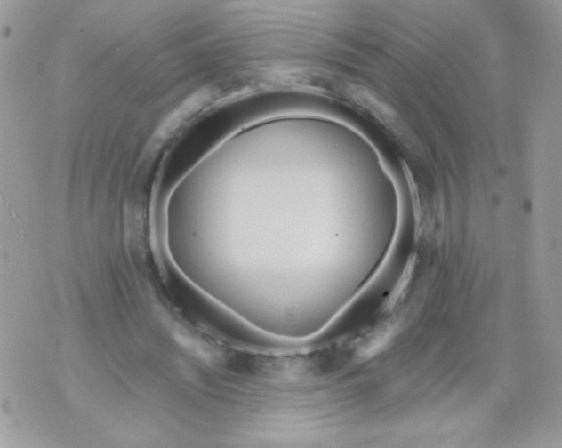 X0000071380444200607212216