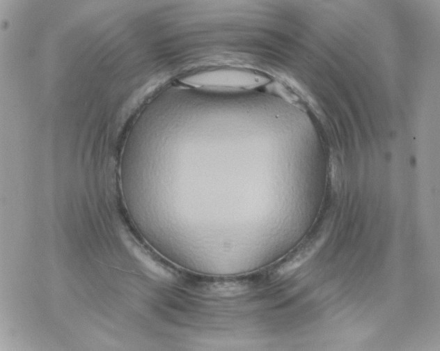 X0000071380445200607212216