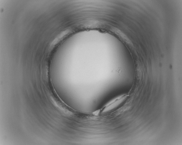 X0000071380446200607212216