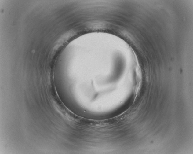 X0000071380447200607212216