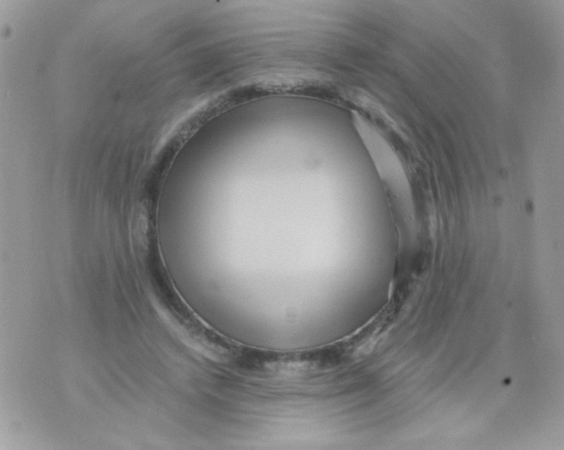 X0000071380448200607212216