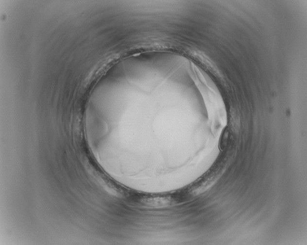 X0000071380449200607212216