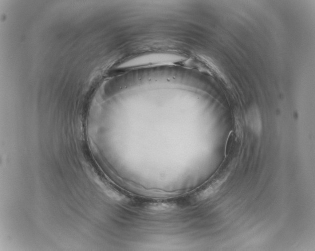 X0000071380453200607212217