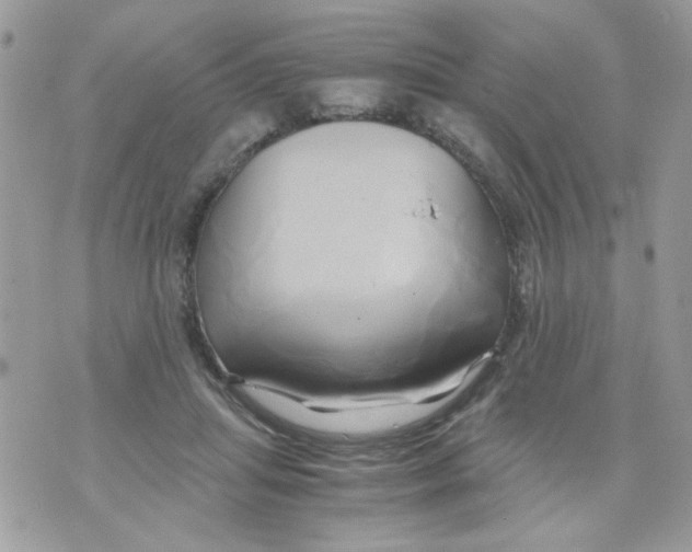 X0000071380455200607212217