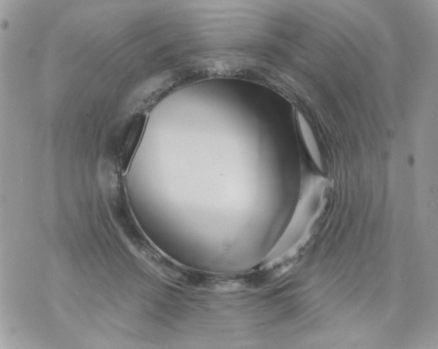 X0000071380456200607212217