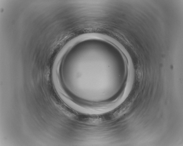 X0000071380458200607212217