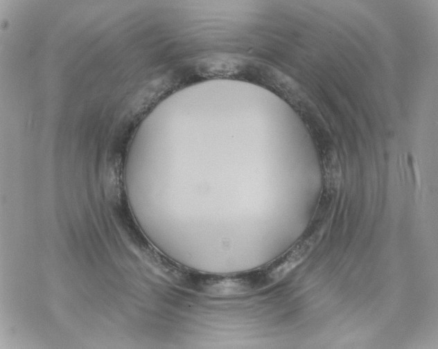 X0000071380460200607212217