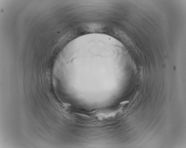 X0000071380461200607212217