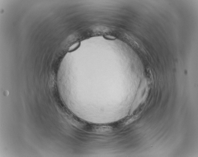 X0000071380463200607212217