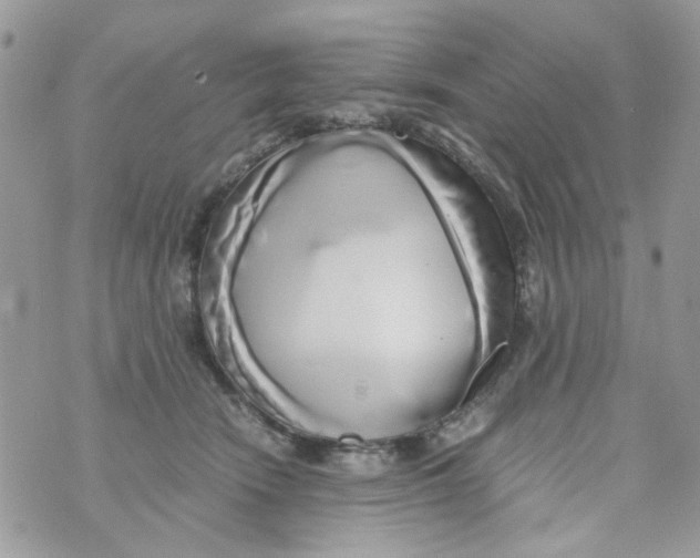 X0000071380466200607212217