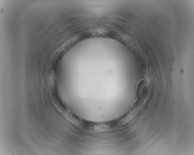 X0000071380468200607212217