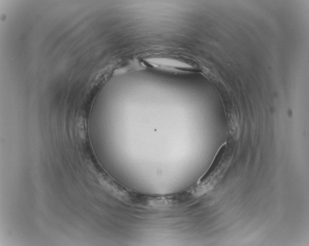 X0000071380470200607212217