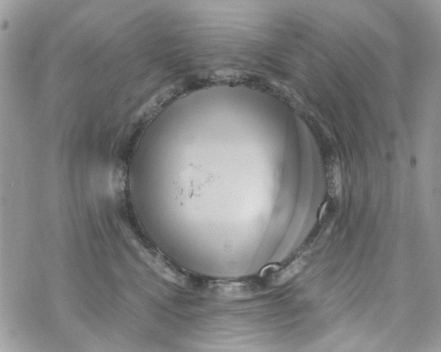 X0000071380472200607212217