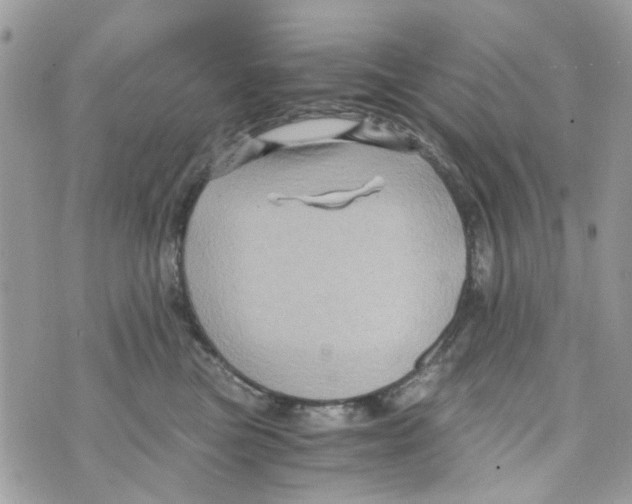 X0000071380473200607212217