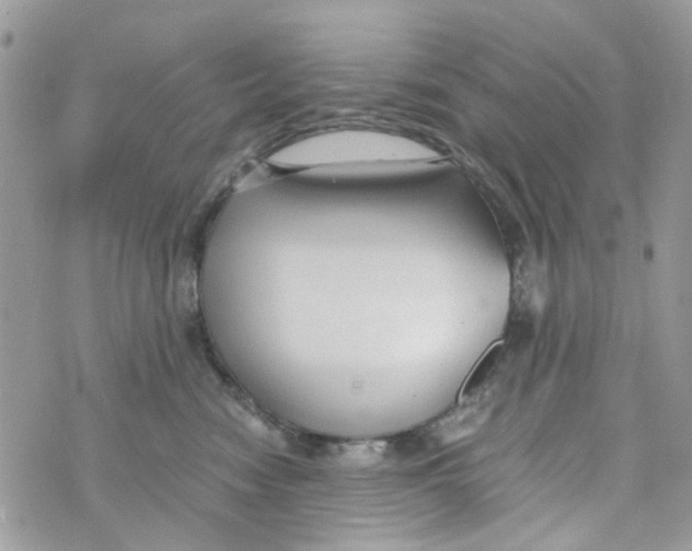 X0000071380474200607212217