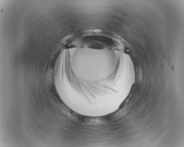 X0000071380475200607212217