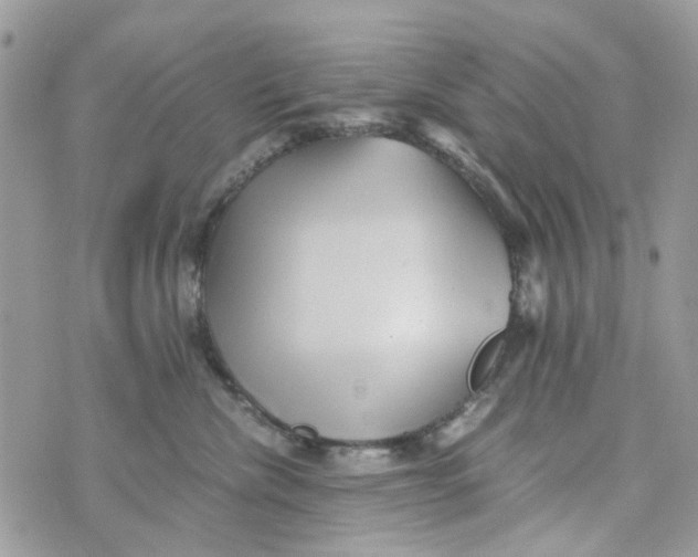 X0000071380476200607212217