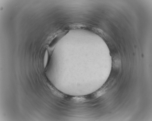 X0000071380477200607212217