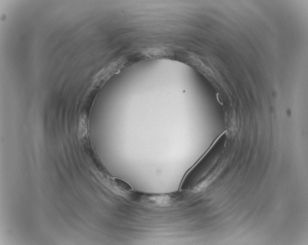 X0000071380478200607212217