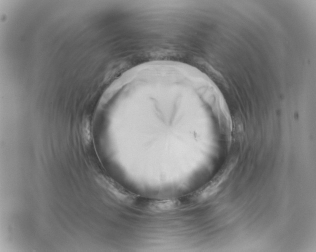 X0000071380479200607212217