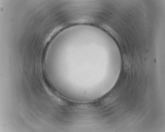 X0000071380482200607212216