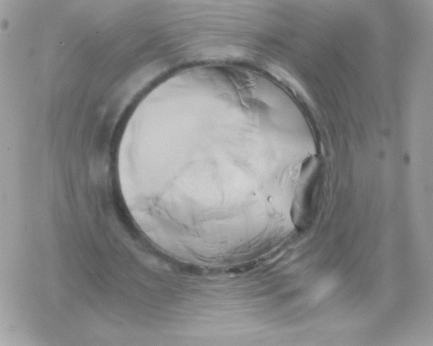 X0000071380483200607212216