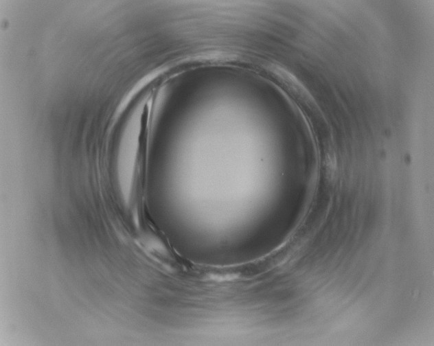 X0000071380484200607212216