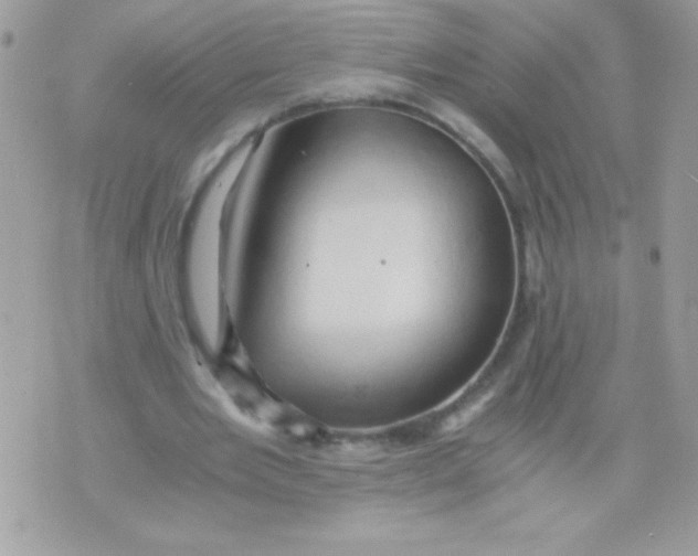 X0000071380485200607212216