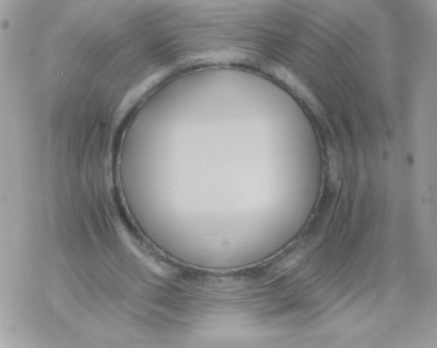 X0000071380486200607212216