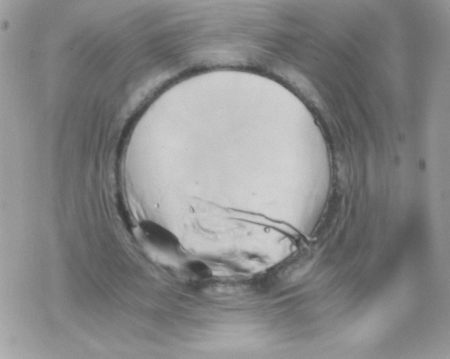 X0000071380487200607212216