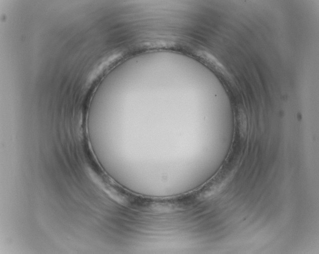 X0000071380490200607212216