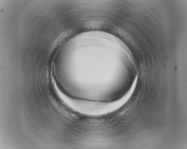 X0000071380494200607212216