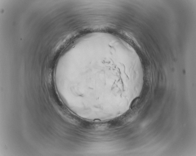 X0000071380495200607212216