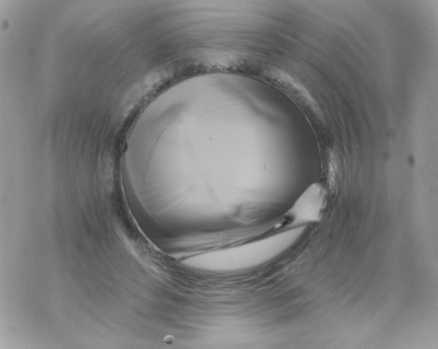 X0000071380496200607212216