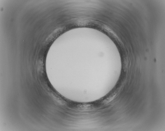 X0000071380497200607212216