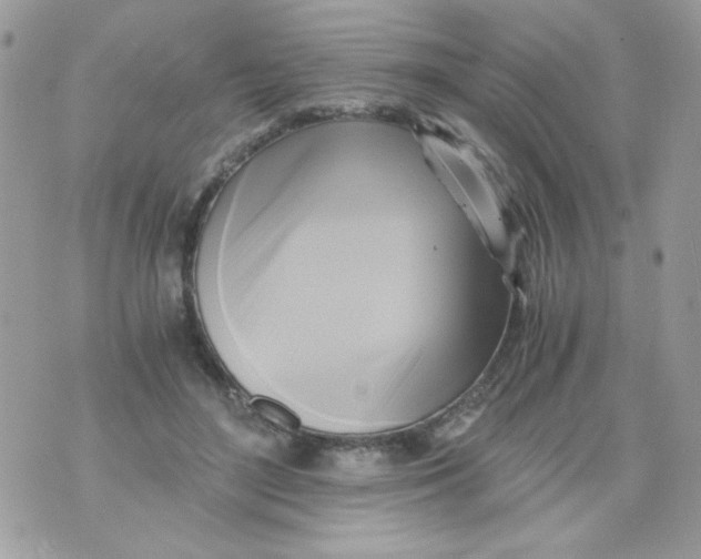 X0000071380500200607212216