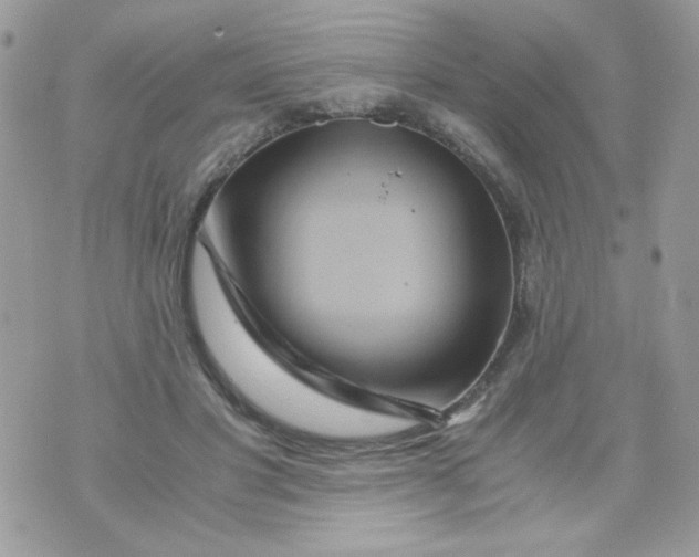 X0000071380501200607212216