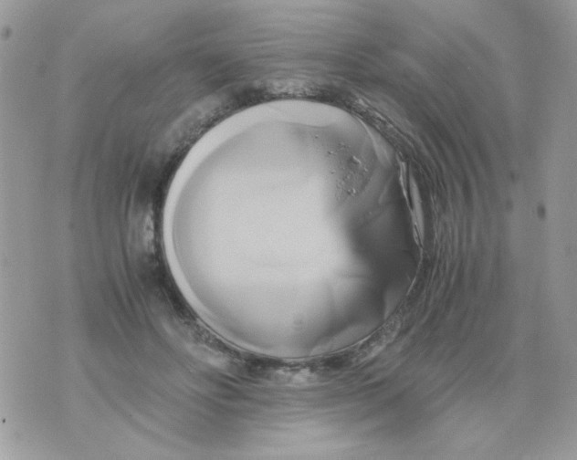 X0000071380502200607212216