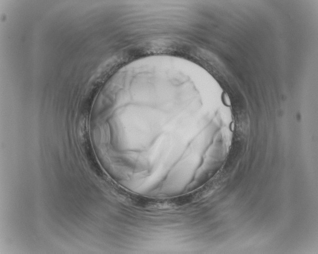 X0000071380503200607212216