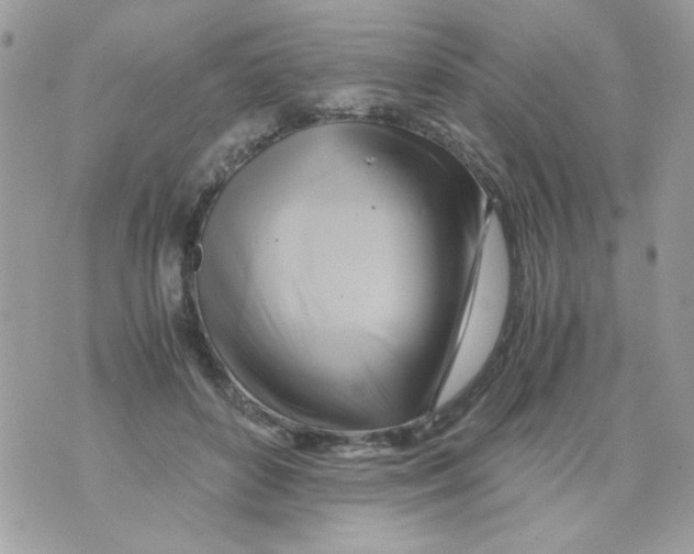 X0000071380504200607212216