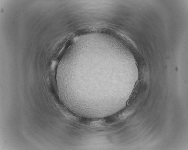 X0000071380505200607212216