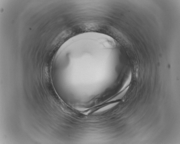 X0000071380506200607212216