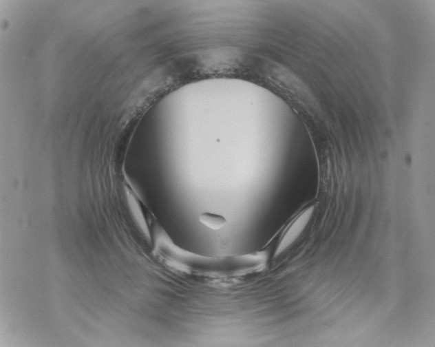 X0000071380508200607212216