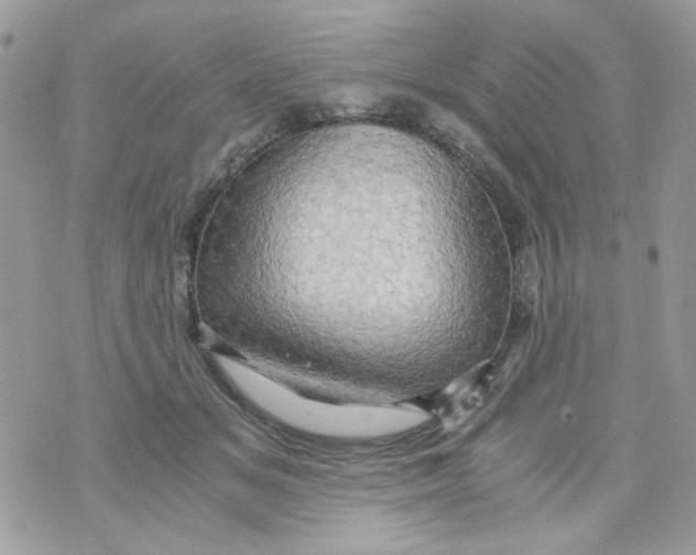 X0000071380509200607212216