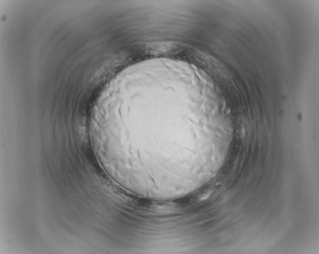 X0000071380510200607212216